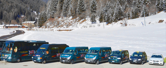 Minibus hire with driver at Passo del Tonale
